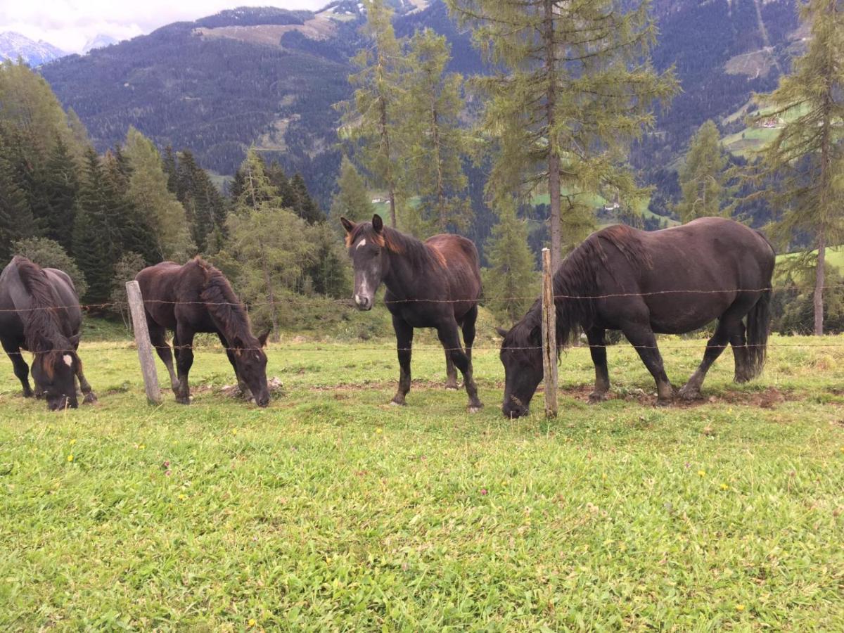 Ferienwohnung Lindbichlhof Urlaub am Bio Bauernhof St. Johann im Pongau Exterior foto