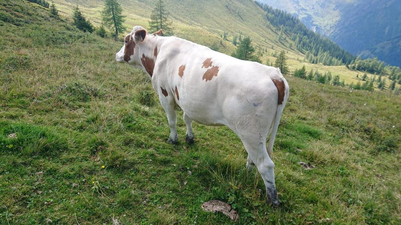 Ferienwohnung Lindbichlhof Urlaub am Bio Bauernhof St. Johann im Pongau Exterior foto
