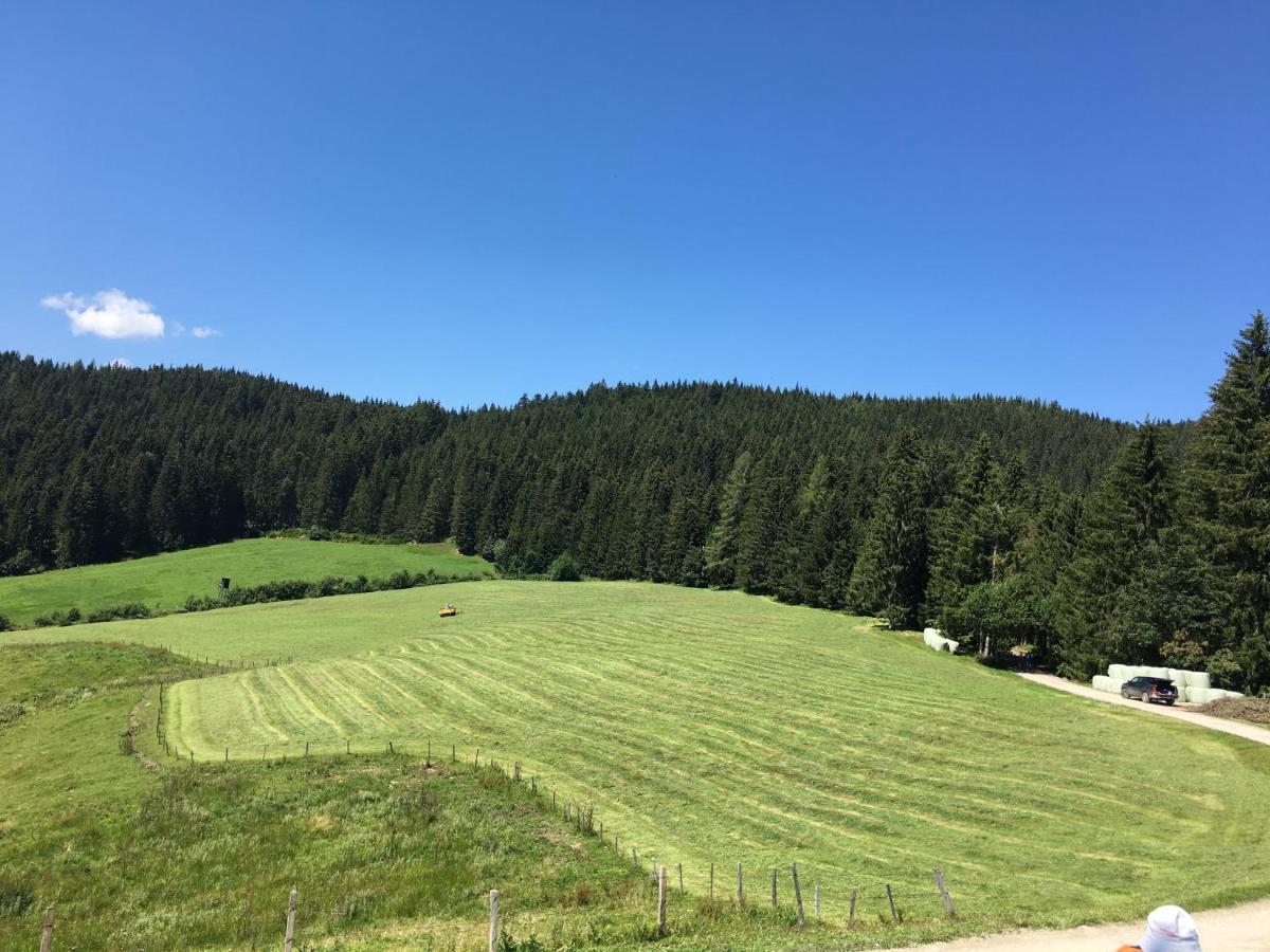 Ferienwohnung Lindbichlhof Urlaub am Bio Bauernhof St. Johann im Pongau Exterior foto