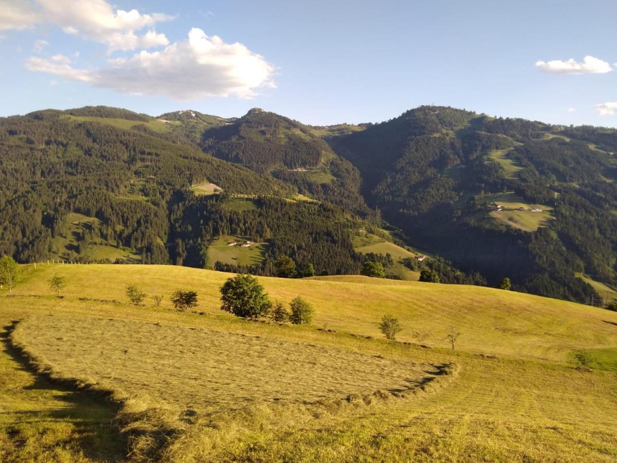 Ferienwohnung Lindbichlhof Urlaub am Bio Bauernhof St. Johann im Pongau Exterior foto