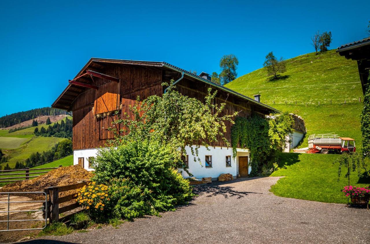 Ferienwohnung Lindbichlhof Urlaub am Bio Bauernhof St. Johann im Pongau Exterior foto
