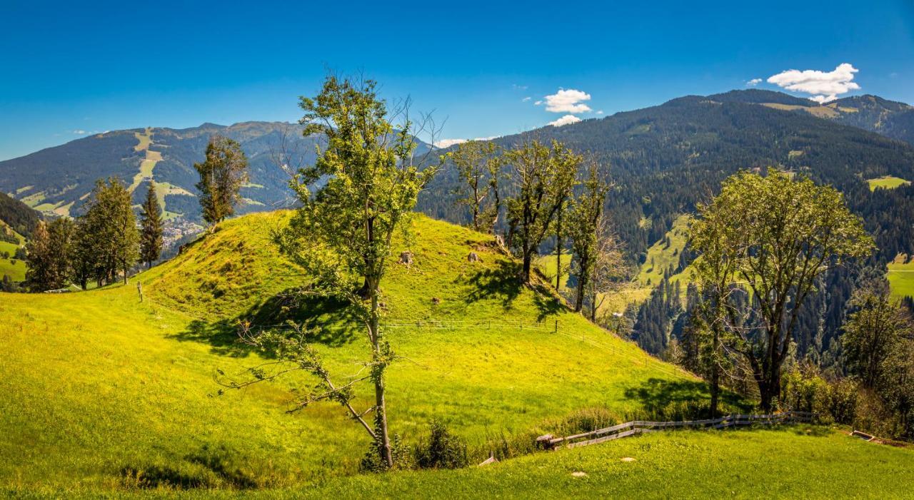 Ferienwohnung Lindbichlhof Urlaub am Bio Bauernhof St. Johann im Pongau Exterior foto