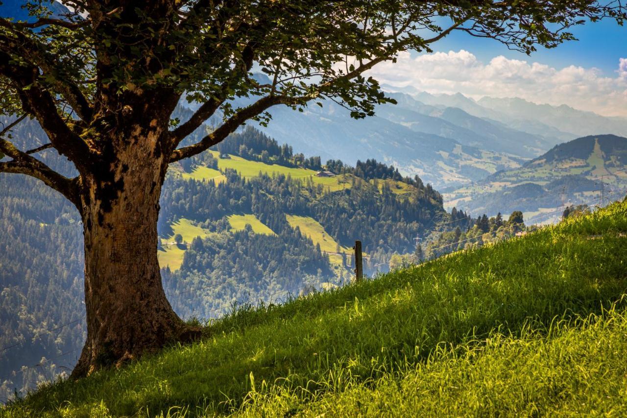 Ferienwohnung Lindbichlhof Urlaub am Bio Bauernhof St. Johann im Pongau Exterior foto
