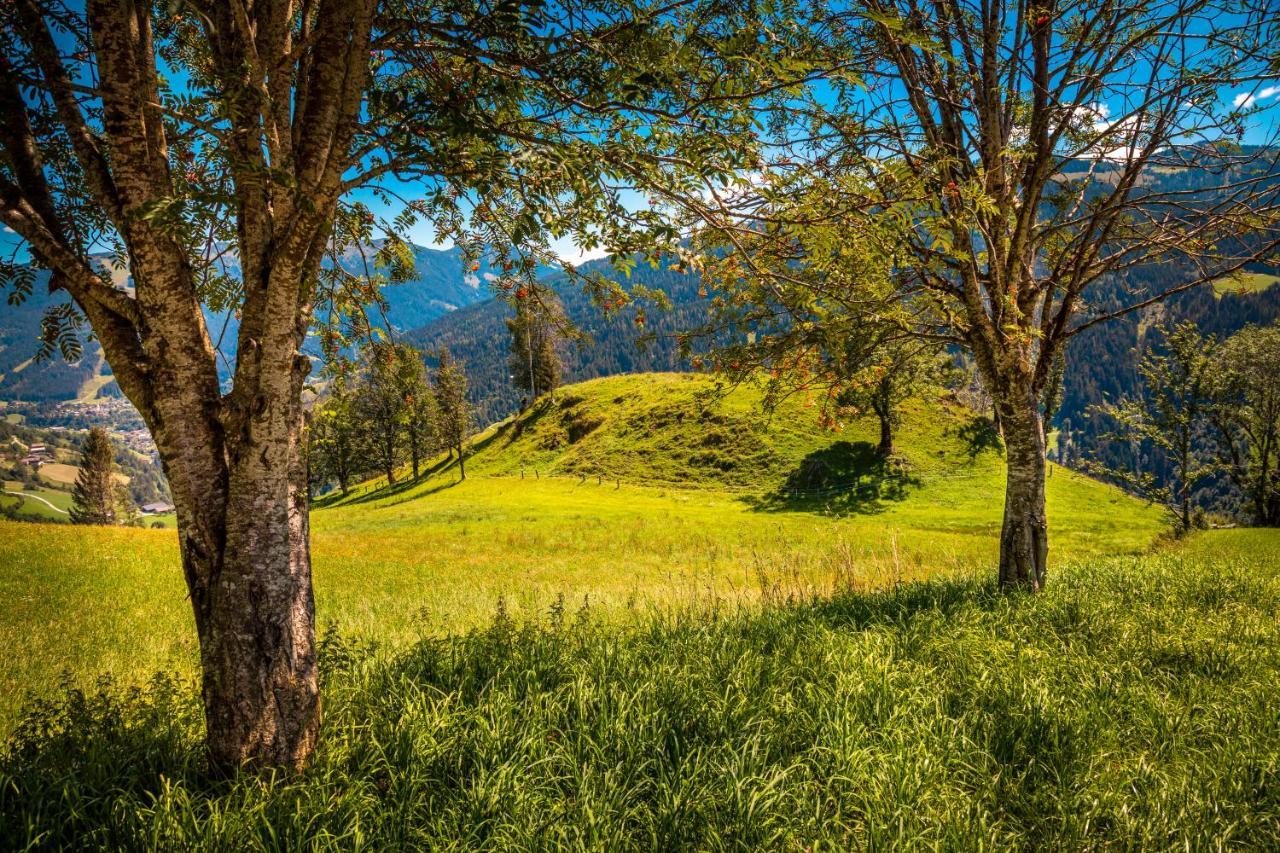 Ferienwohnung Lindbichlhof Urlaub am Bio Bauernhof St. Johann im Pongau Exterior foto
