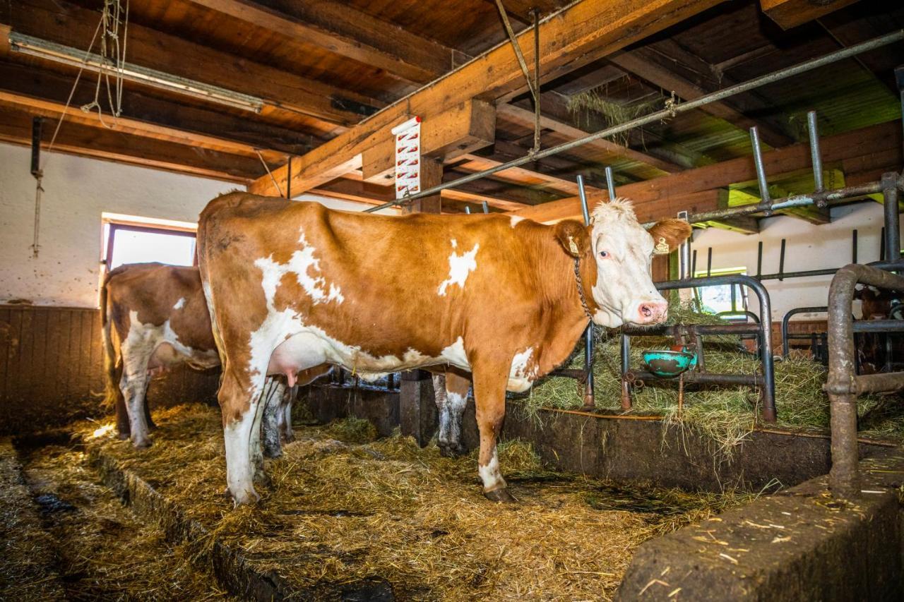 Ferienwohnung Lindbichlhof Urlaub am Bio Bauernhof St. Johann im Pongau Exterior foto
